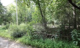 0M2A5890